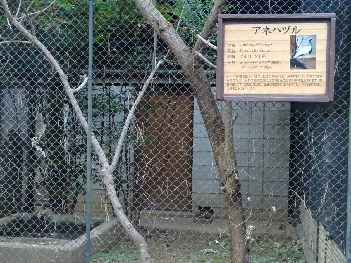 画像40