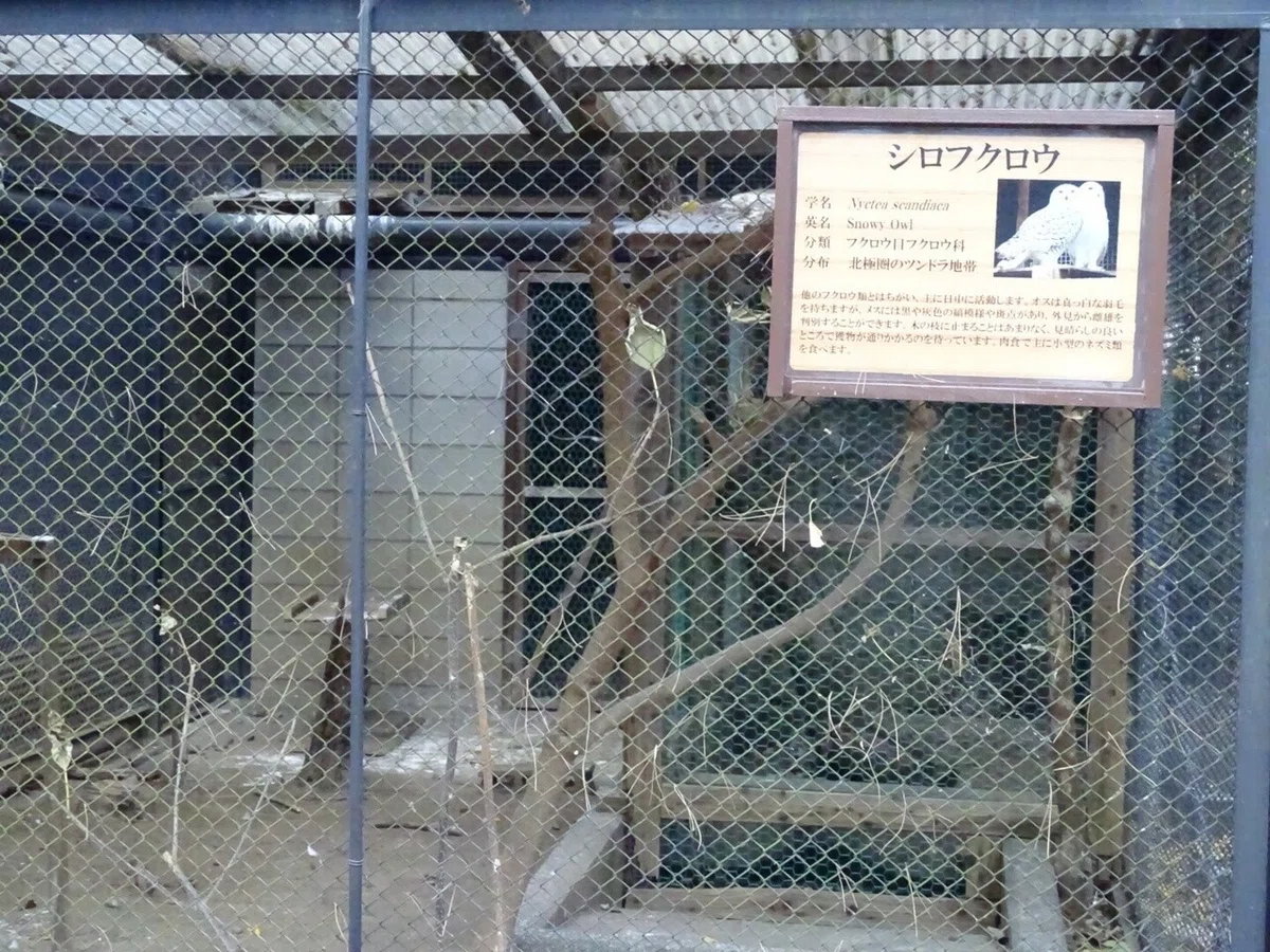 画像39