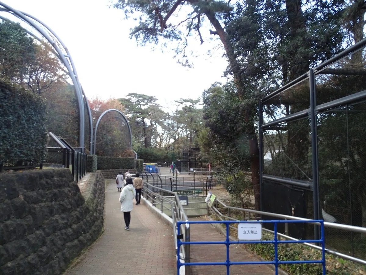 画像43