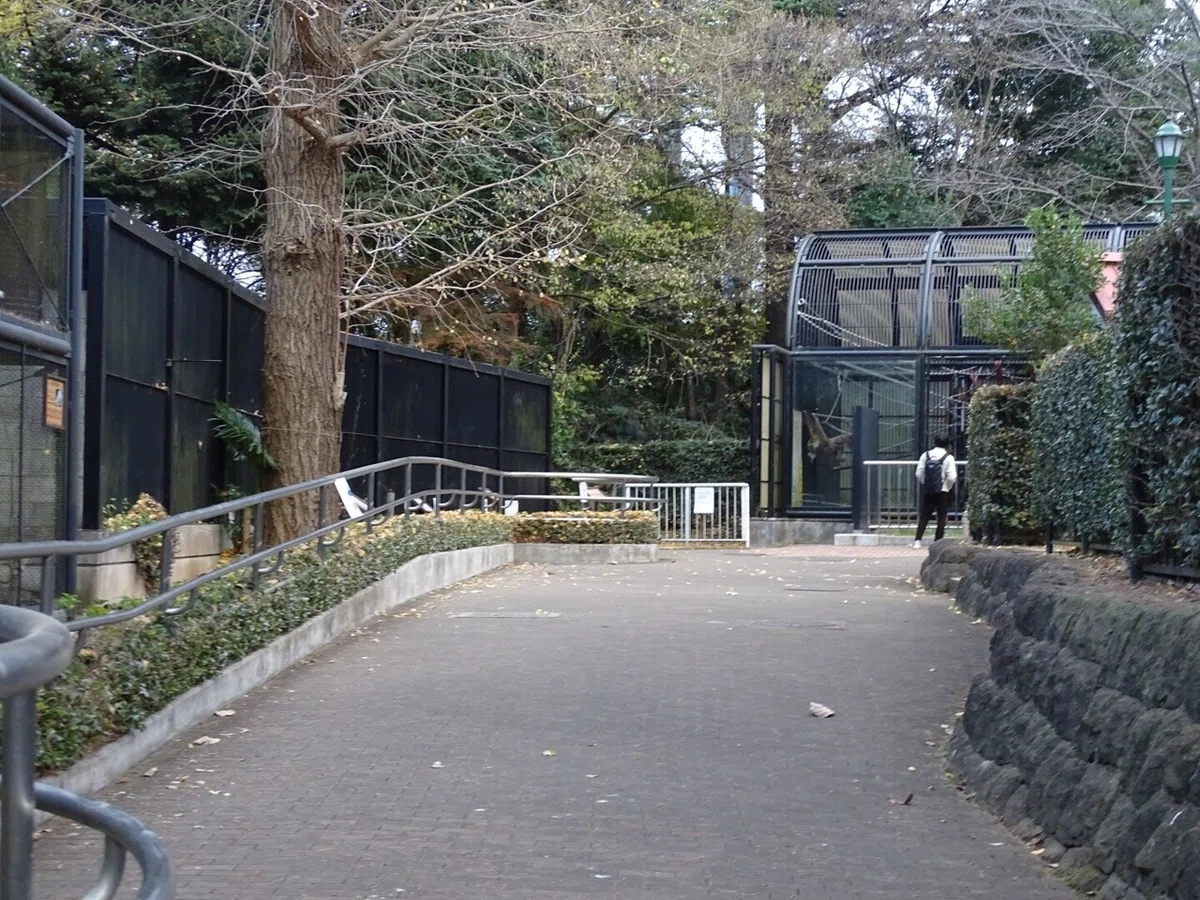 画像42