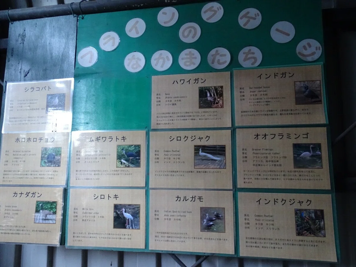 画像46