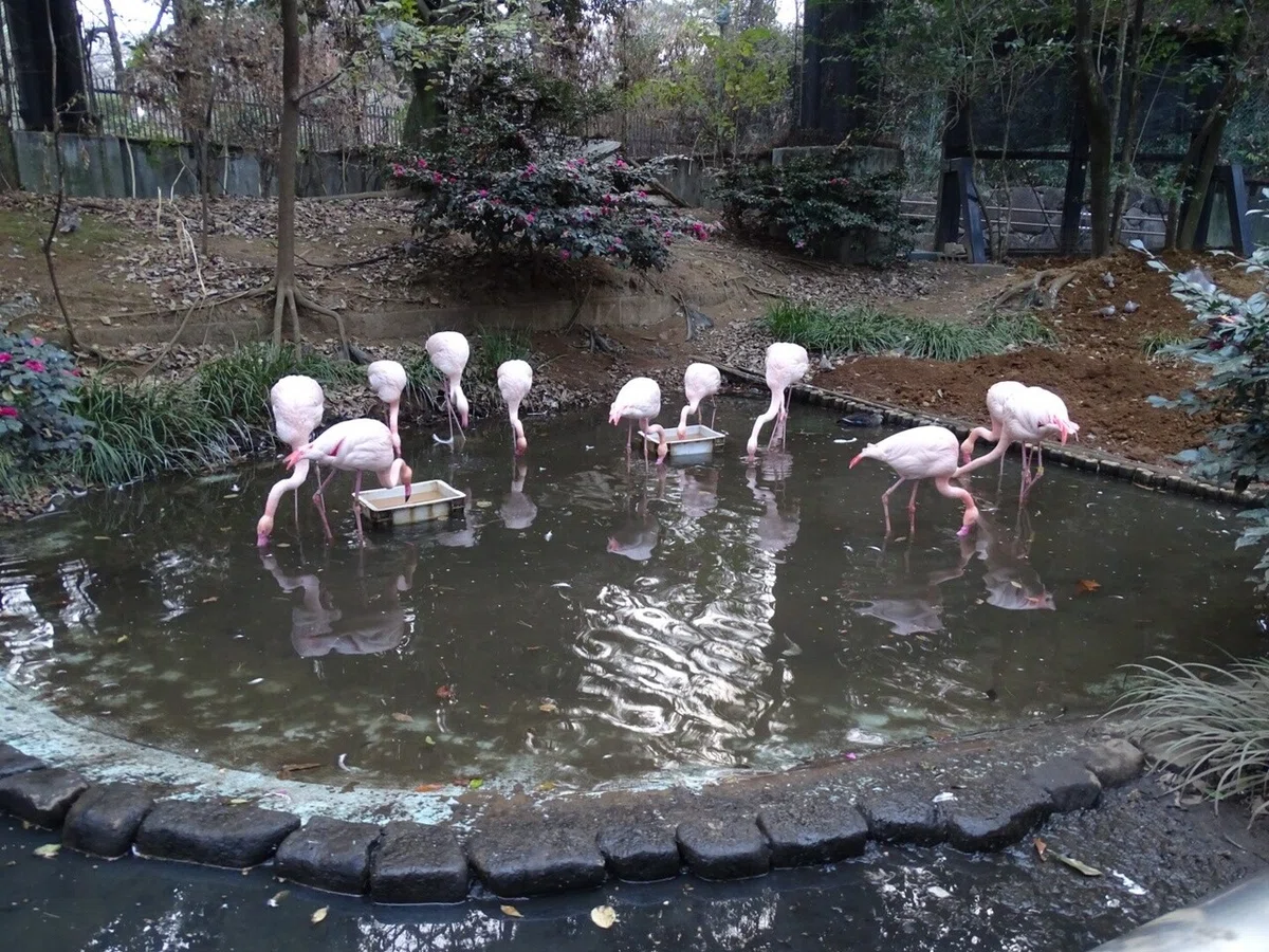 画像49