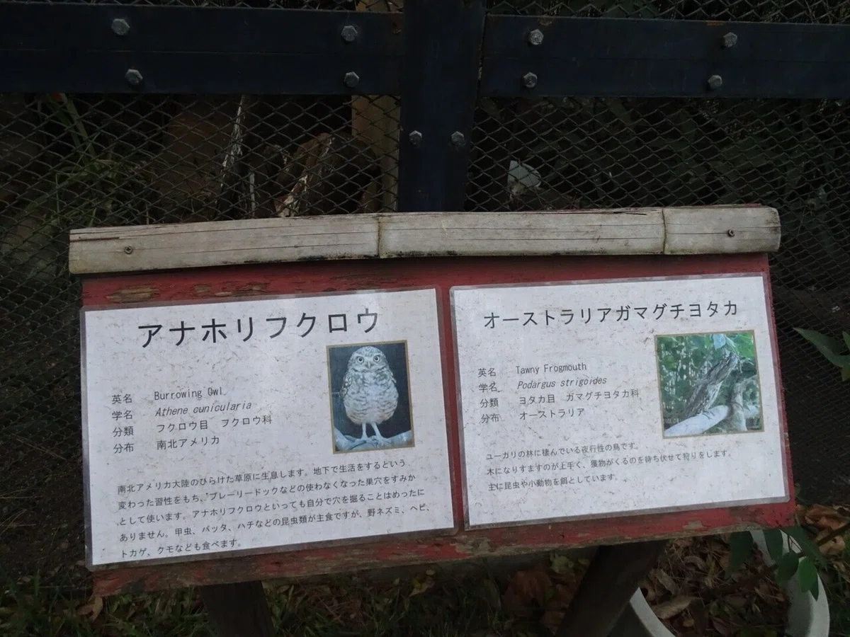 画像65