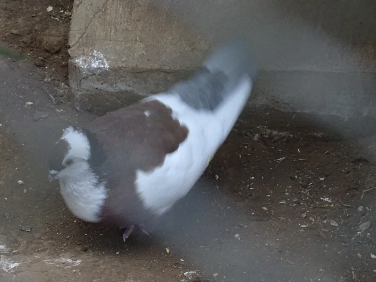 画像59