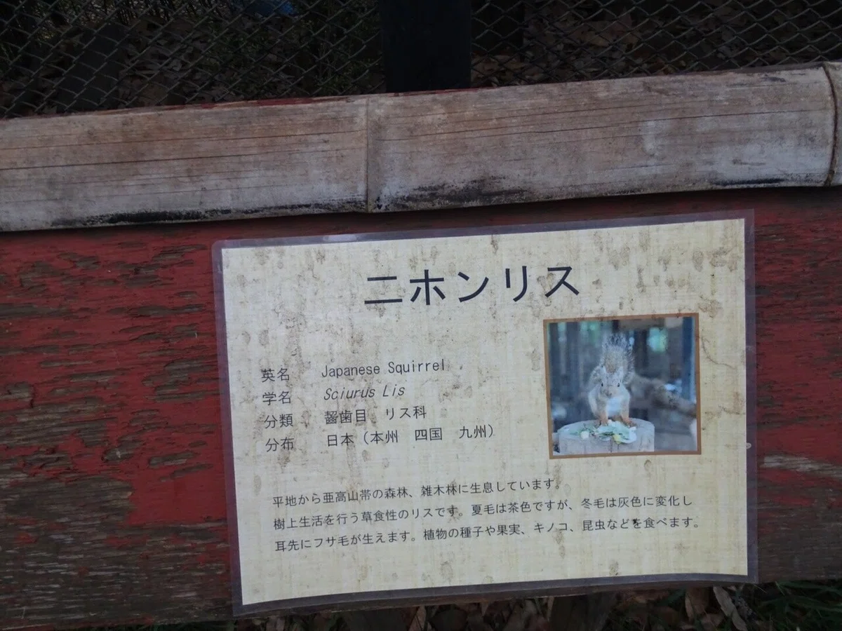 画像64