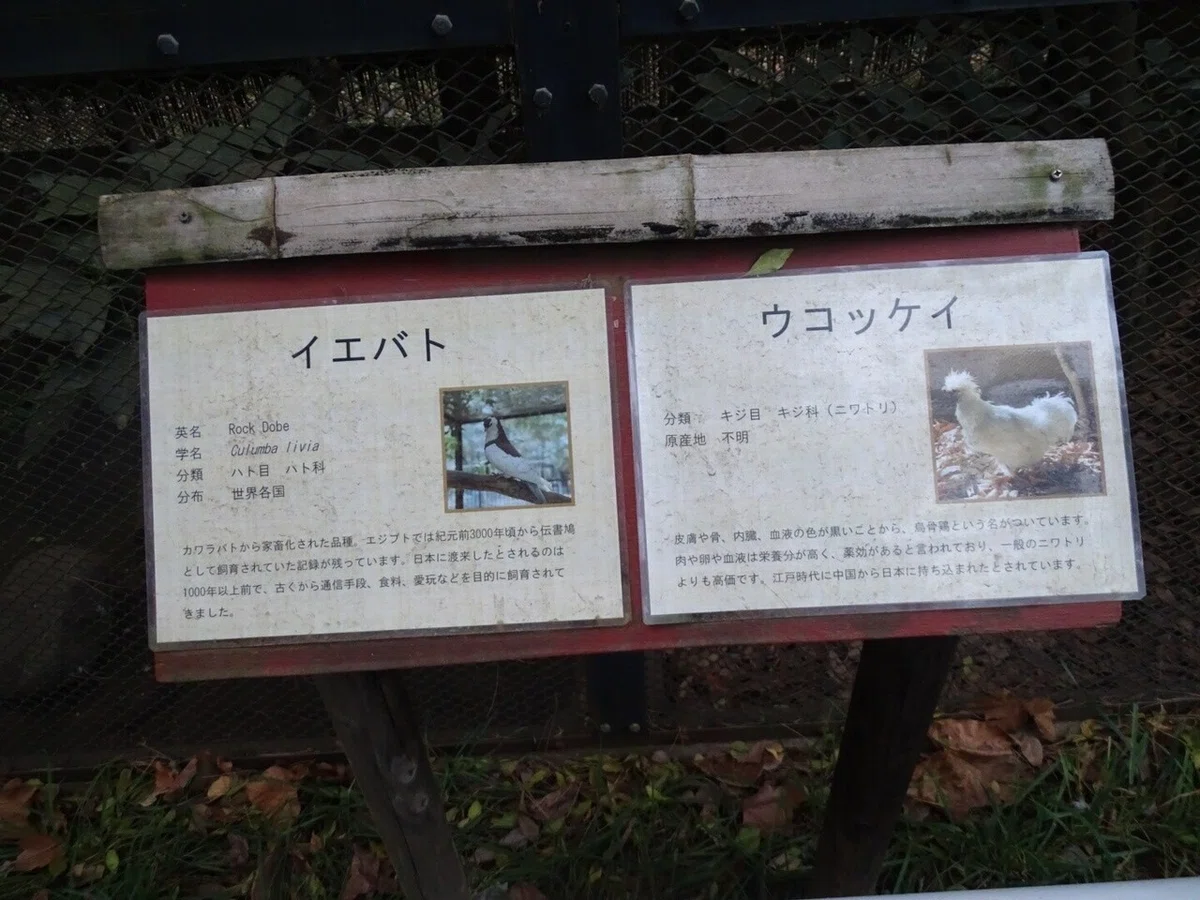 画像58