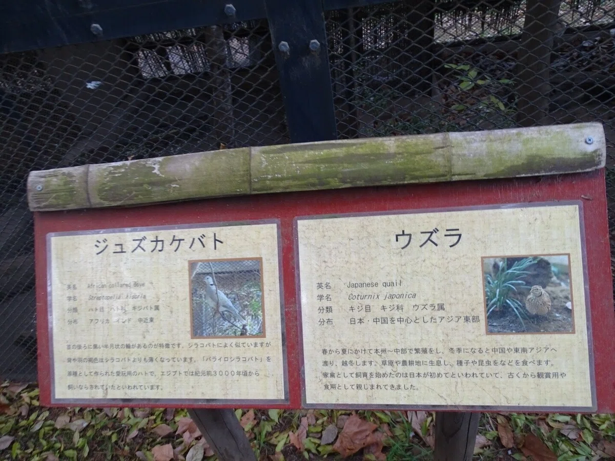 画像60