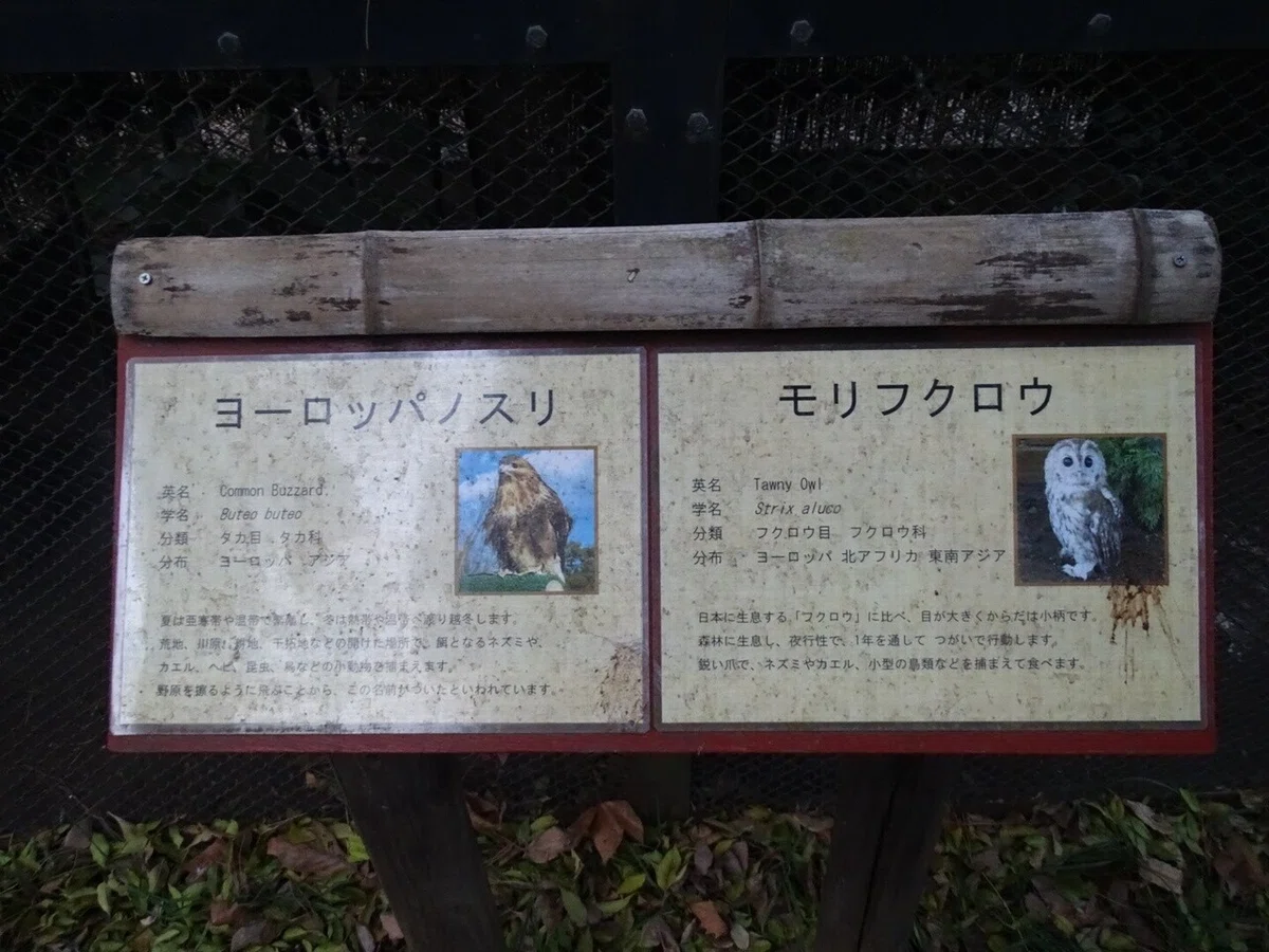 画像65