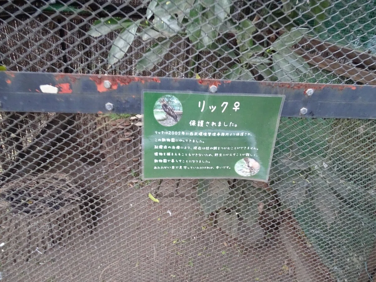 画像66