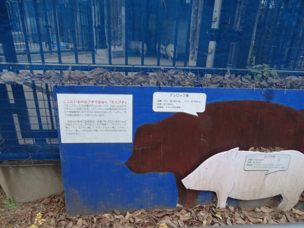 画像70
