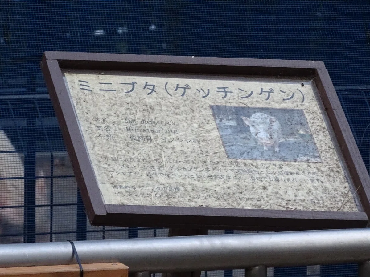 画像71
