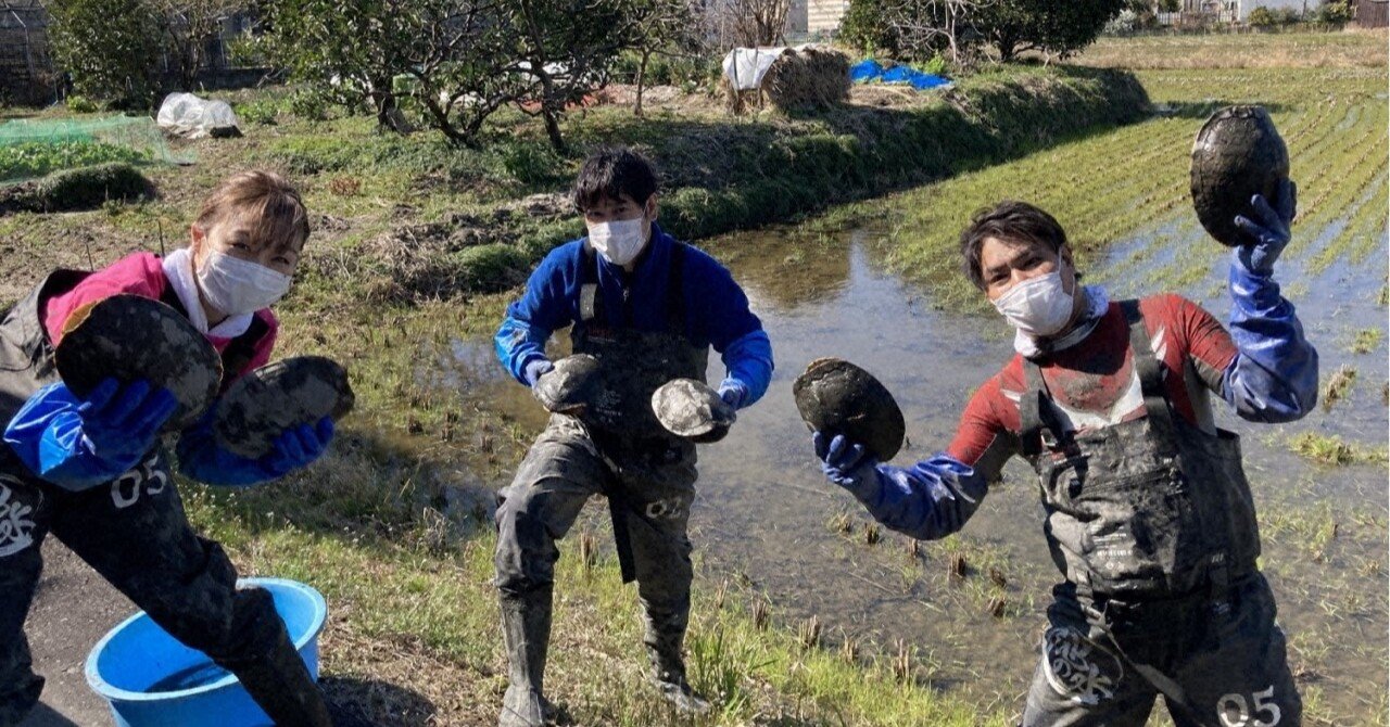 21 04 04 日 18 30 緊急sos 池の水ぜんぶ抜く大作戦 スペシャル 無人島の池の水を抜く 日曜ビッグバラエティ テレ東電鉄 テレビ東京公式 Note 21 04 04 日 18 30 緊急sos 池の水ぜんぶ抜く大作戦 スペシャル 無人島の池の水を抜く 日曜ビッグバラエティ テレ東電鉄 テレビ東京公式 Note