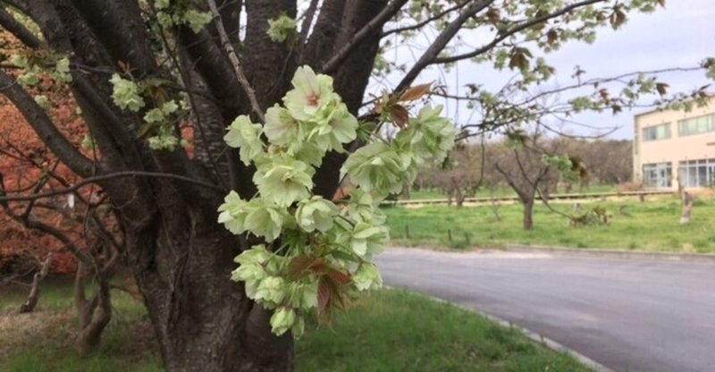 炭団坂 の新着タグ記事一覧 Note つくる つながる とどける