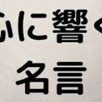 土屋アンナの名言 毎日テンション高くって言ってもさ 人間だもん できないよ でも 一日休んだら 次の日からは頑張る 遅れたぶん巻き返すって勢いをもって しっかり休め 無理は良くないですからね Dogeza Shimasuyo Note