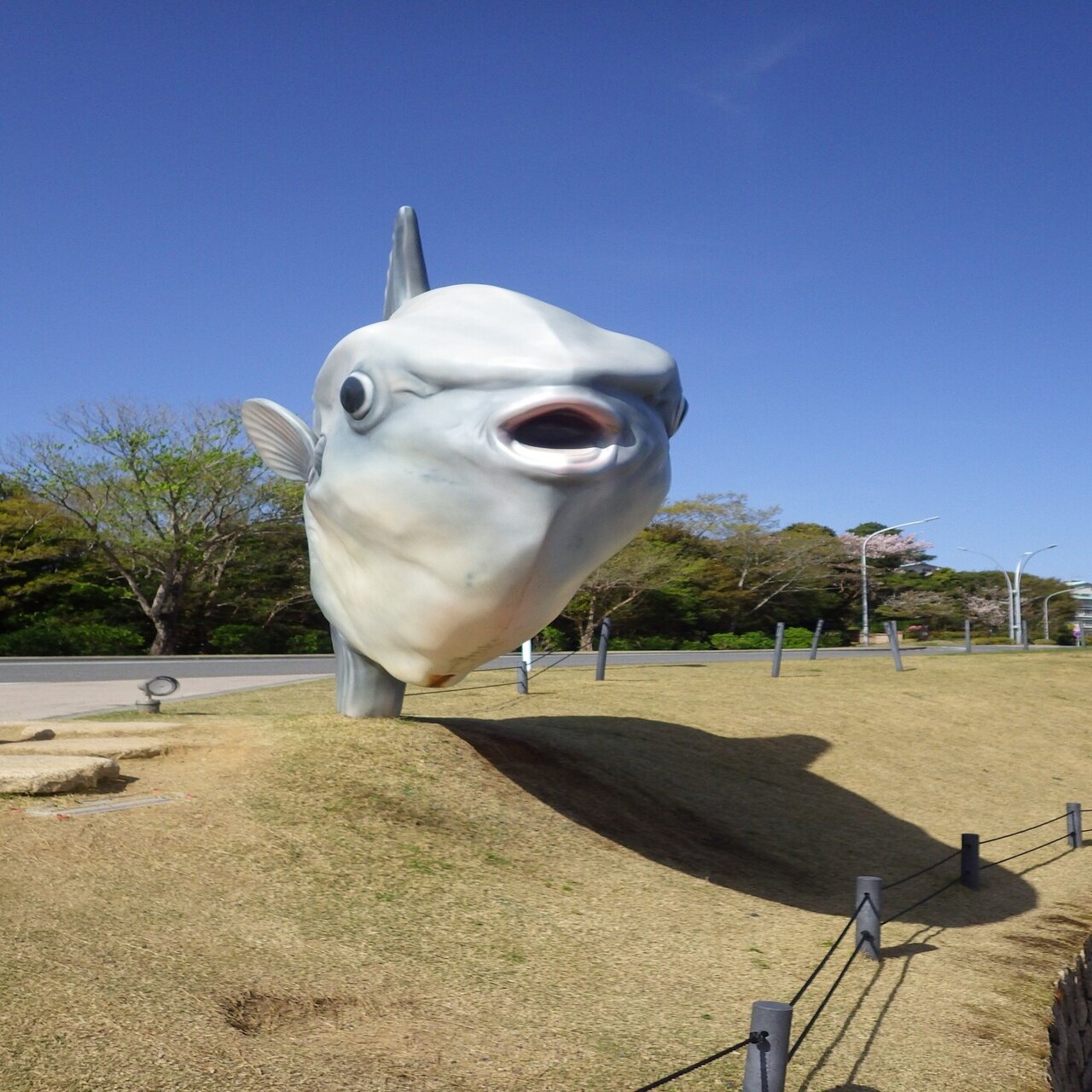 レンタル博士されてみた話 クエスト5 ウシマンボウ博士 Note