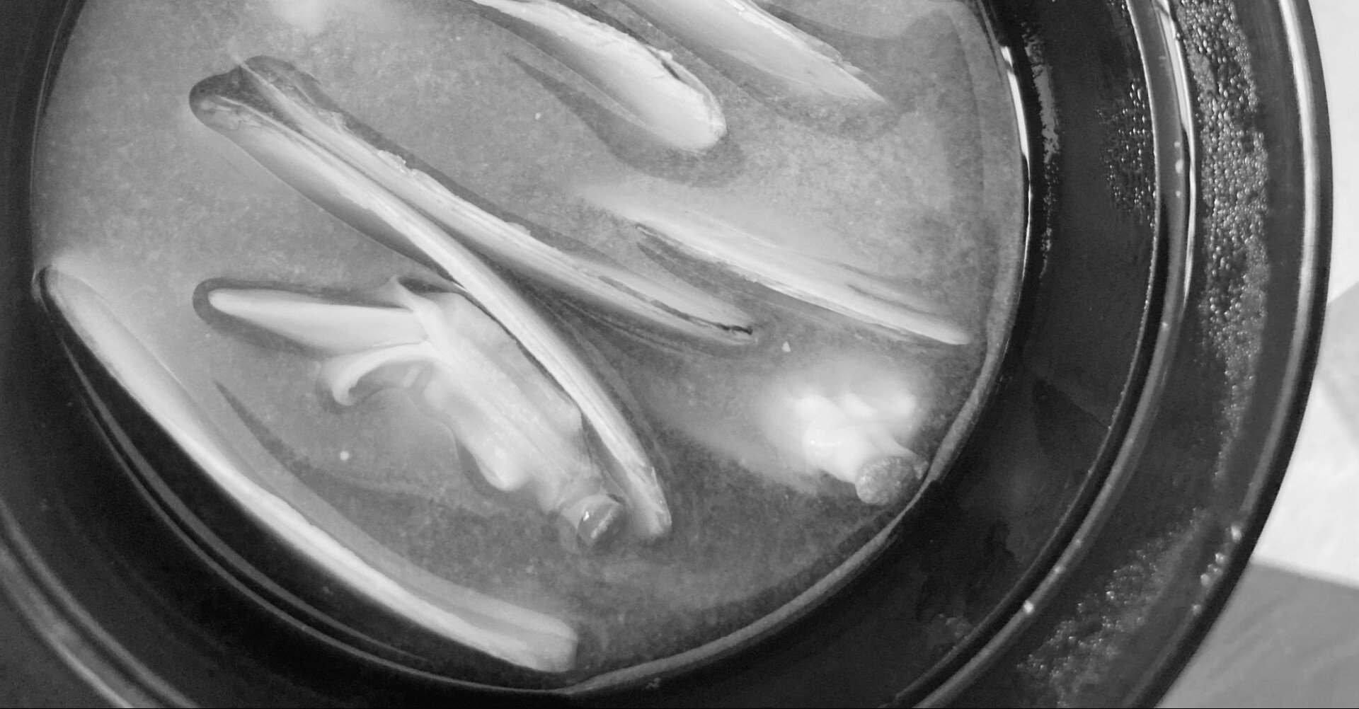 食べ物について エッセイ クリオネ Note