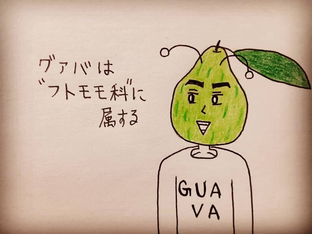 植物に フトモモ科 という分類があることを知りませんでしたが 何だか響きがセクシーですね セクハラ 個人的には フクラハギ科 もあっても良いかななんて 懲役5年 ちなみにイラストはサバエモン七変化シ サバエモン Note