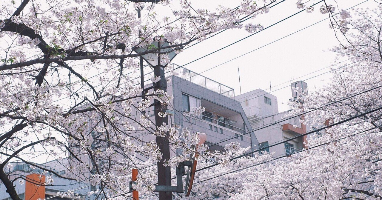 桜にずっと興味がなかったのは 地元で綺麗な桜を見てこなかったせいだと気づいた 岡田 星羅 Note 桜にずっと興味がなかったのは 地元で綺麗な桜を見てこなかったせいだと気づいた 岡田 星羅 Note