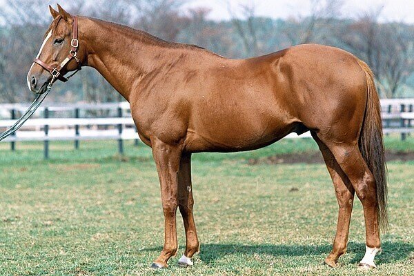 ウマ娘で学ぶ競馬史 2 影と栄光 1985 86 マツウラ Note