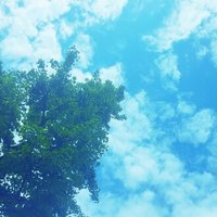 Wii U Year Walk 最後の啓示 感想 Yu Note