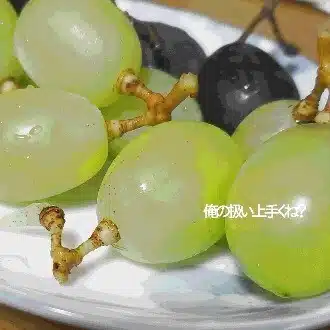 みやだ