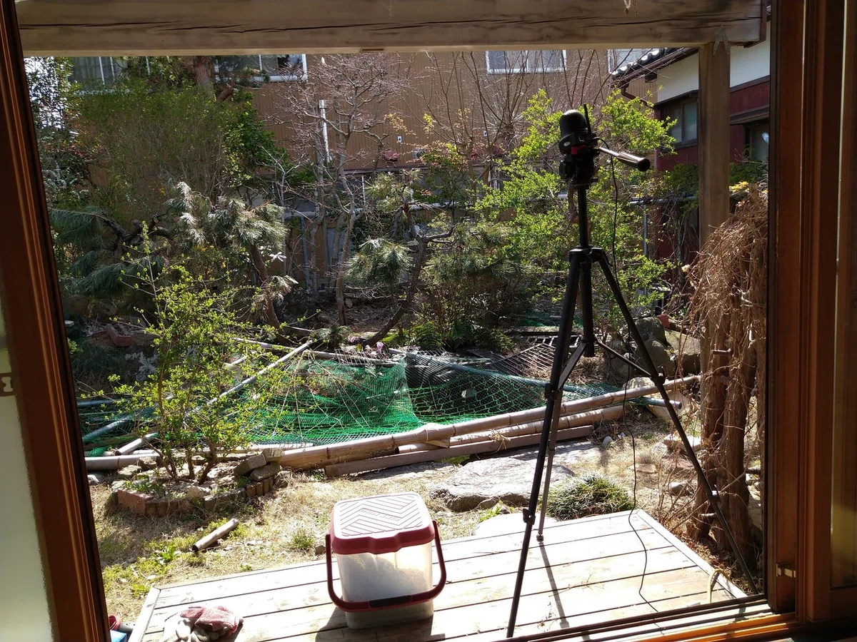 画像7