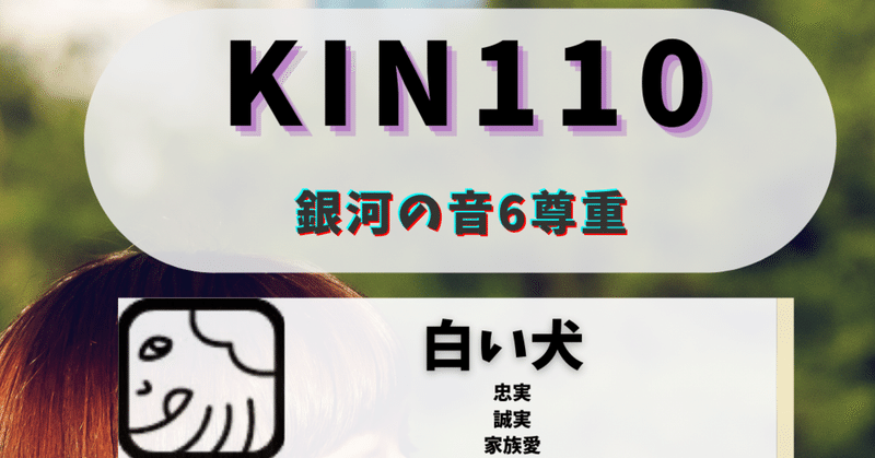 KIN110黒キン