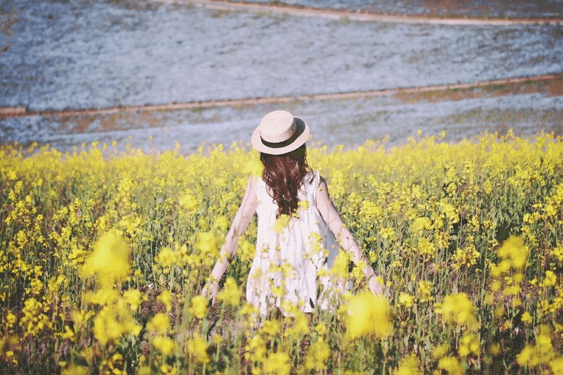 与謝蕪村 菜の花や月は東に日は西に をリアルに楽しむには 和歌と 有明の月 コペルくんwithアヤ先生 Note大学初代教授 Note 与謝蕪村 菜の花や月は東に日は西に をリアルに楽しむには 和歌と 有明の月 コペルくんwithアヤ先生 Note大学初代教授 Note