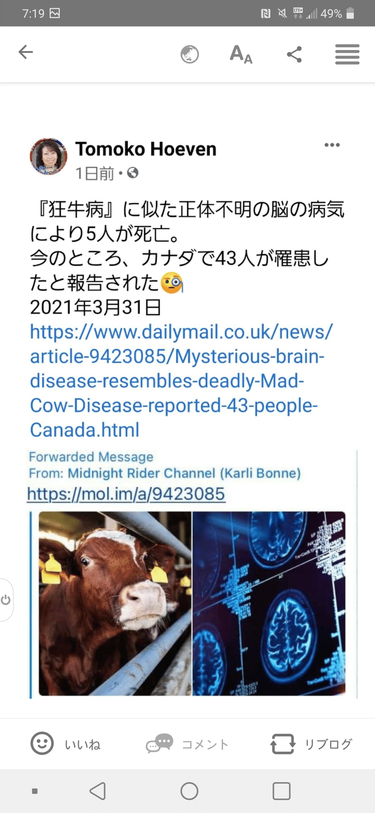 狂牛病 の新着タグ記事一覧 Note つくる つながる とどける