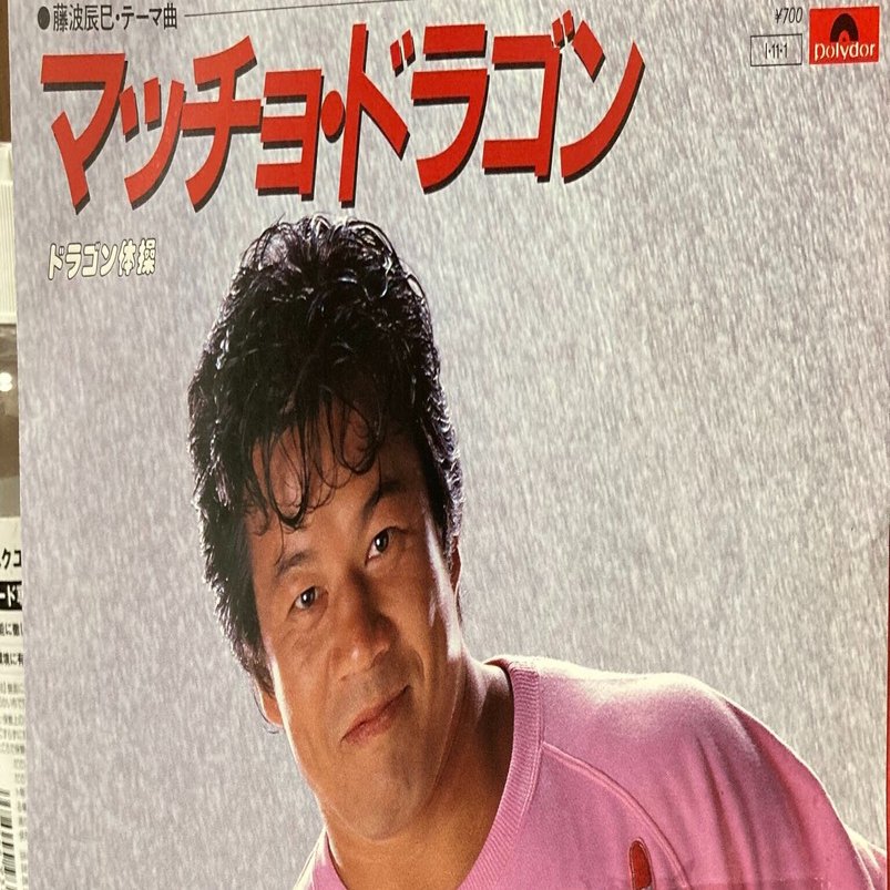 藤波辰巳 