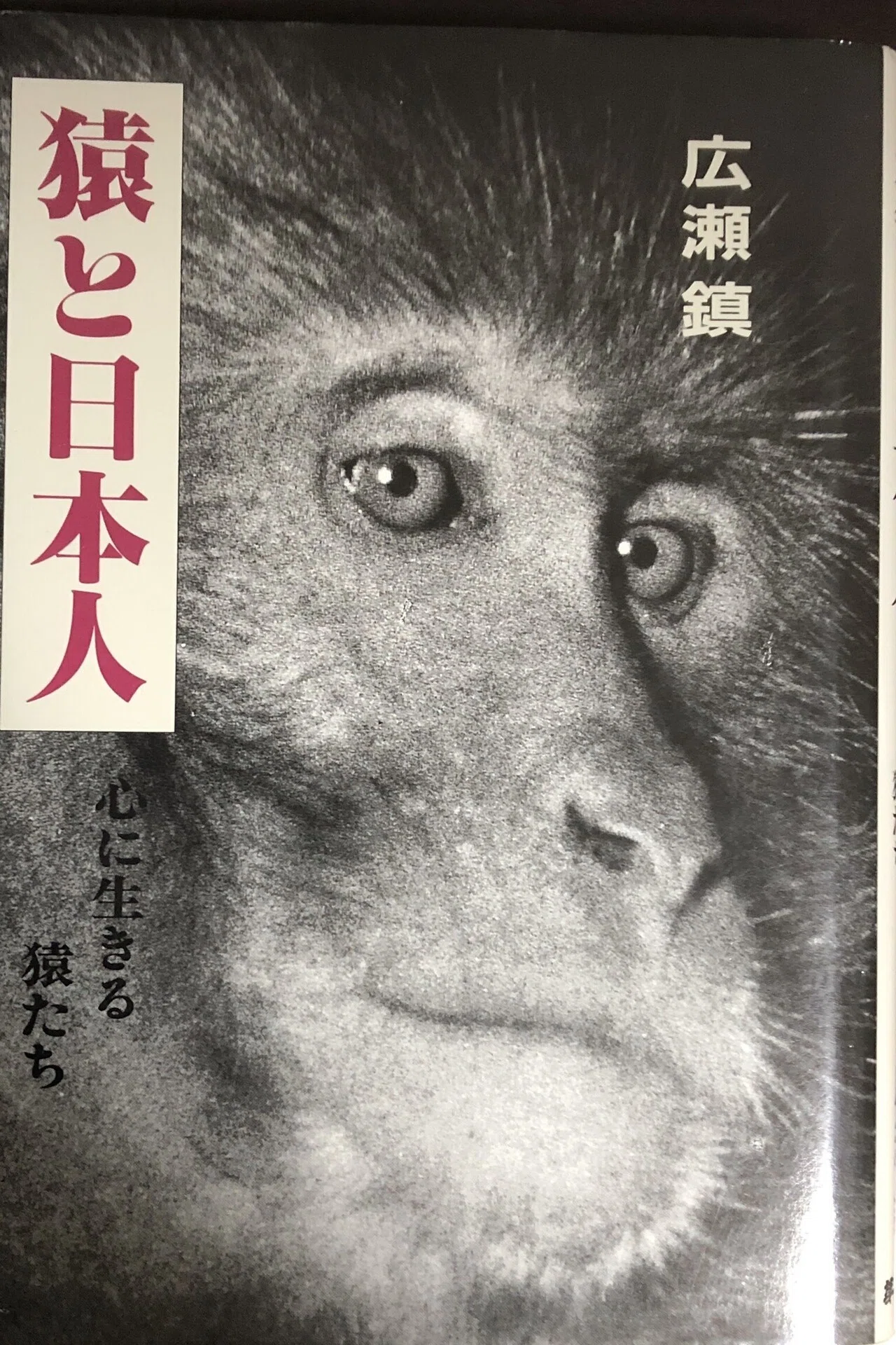 あなたの「好き」をぶつけてください／おらゑもんさん編 「サル」が