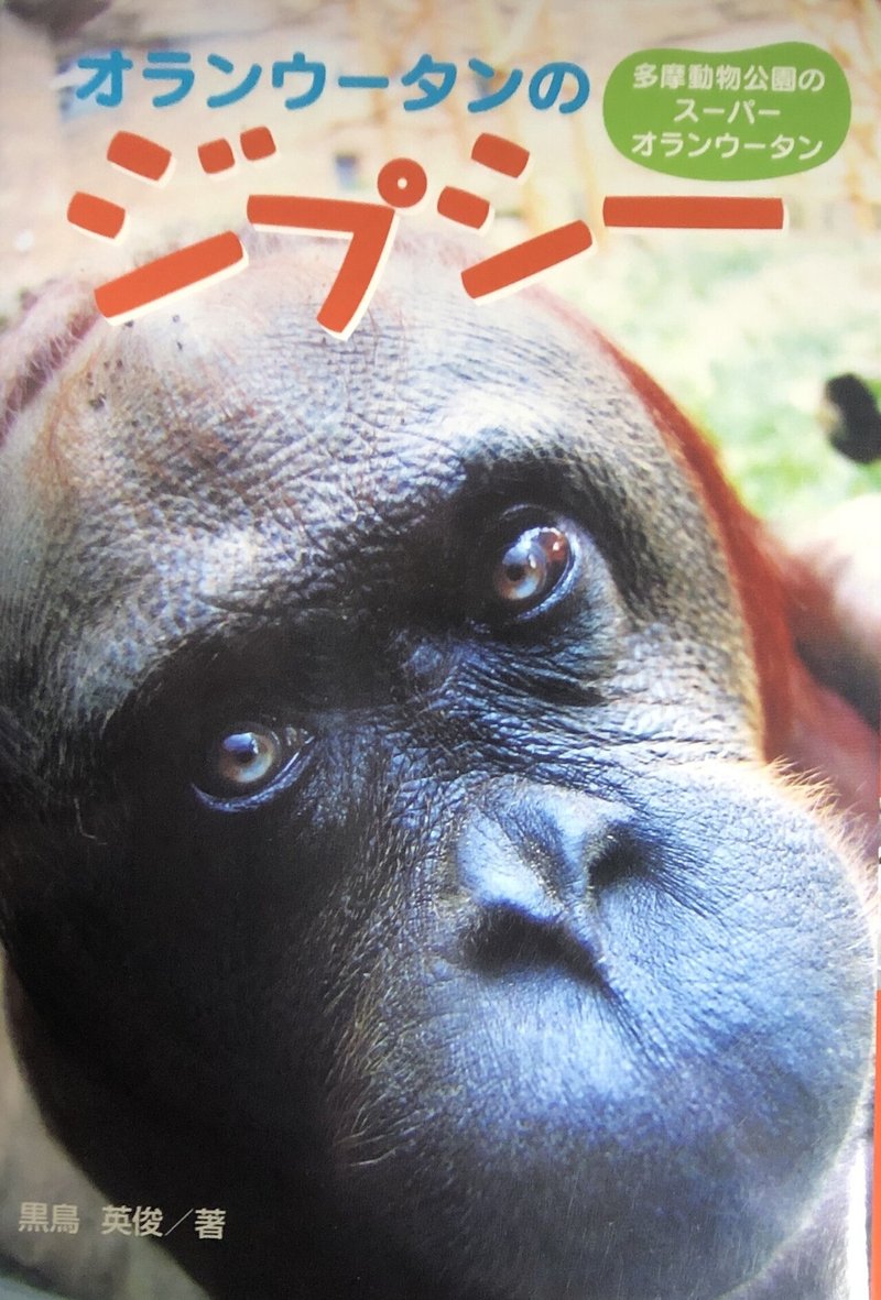 あなたの 好き をぶつけてください おらゑもんさん編 サル が好きすぎて 第1回 動物園が救ってくれた なかむらしょうこの眼鏡越し Note