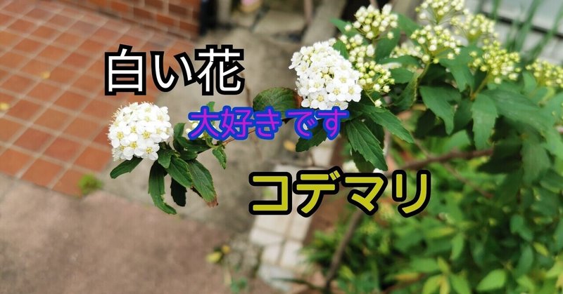 慣用句 売り物には花を飾れって 石川 味季 花 装飾 いけばな企業研修 企業エントランス Note