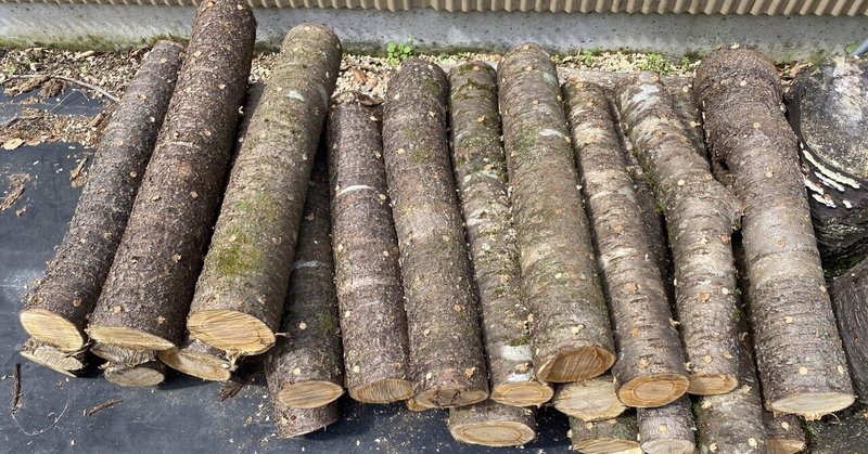 なめこ栽培 の新着タグ記事一覧 Note つくる つながる とどける