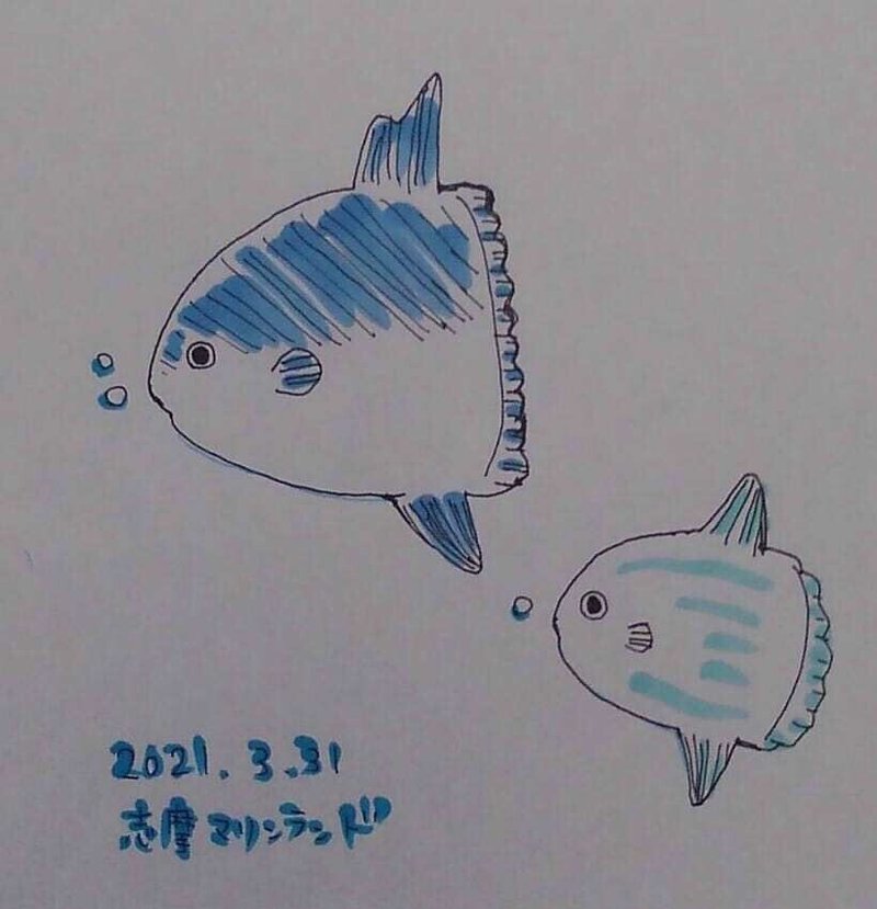 画像46