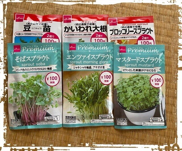 21 04 03 スプラウト らいらっく Note