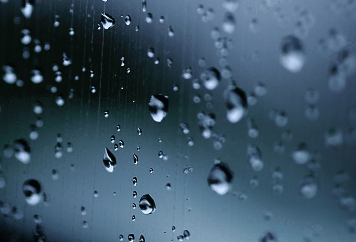 車の雨染み原因や対策を徹底解説 雨染みまとめサイト フリーライター Note 車の雨染み原因や対策を徹底解説 雨染みまとめサイト フリーライター Note