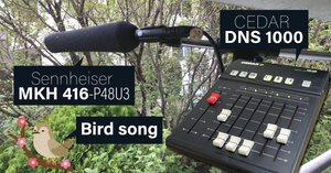 ⭐️【超レア】 CEDAR DNS2 中古美品 楽天市場】セダークレスト CEDAR CREST CC-9800 メンズ靴 靴