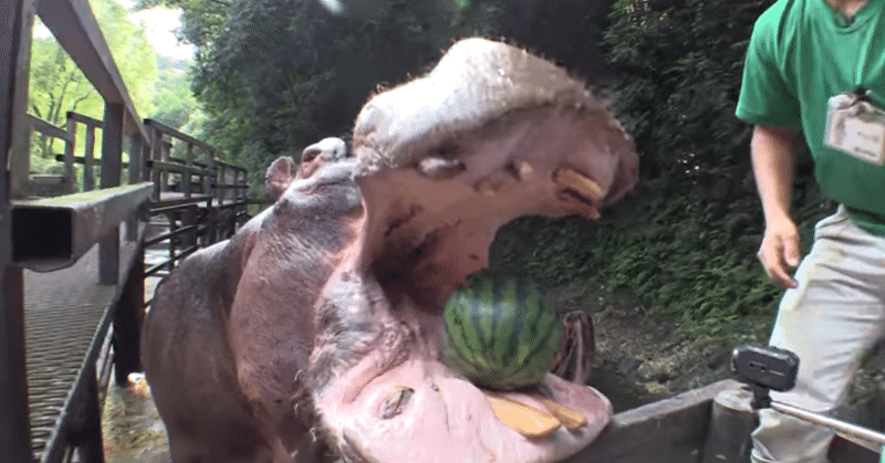 新卒1年目クラウドエンジニア 興味のある芸能マネージャーに転職しようかな ひろゆき Youtube 文字起こし Note