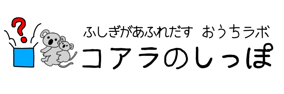 コアラのしっぽ(横長)