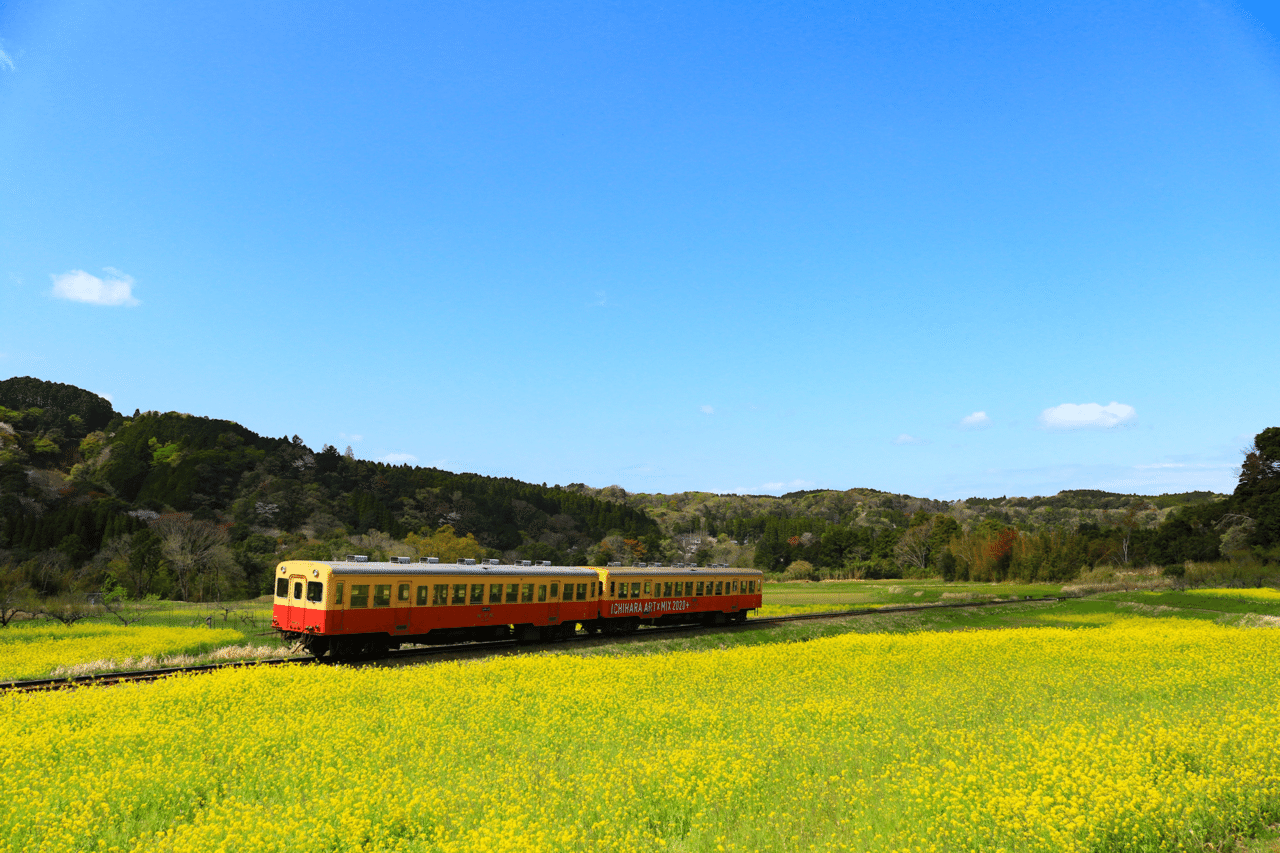 小湊鐵道の石神の菜の花畑 黒坂 Note