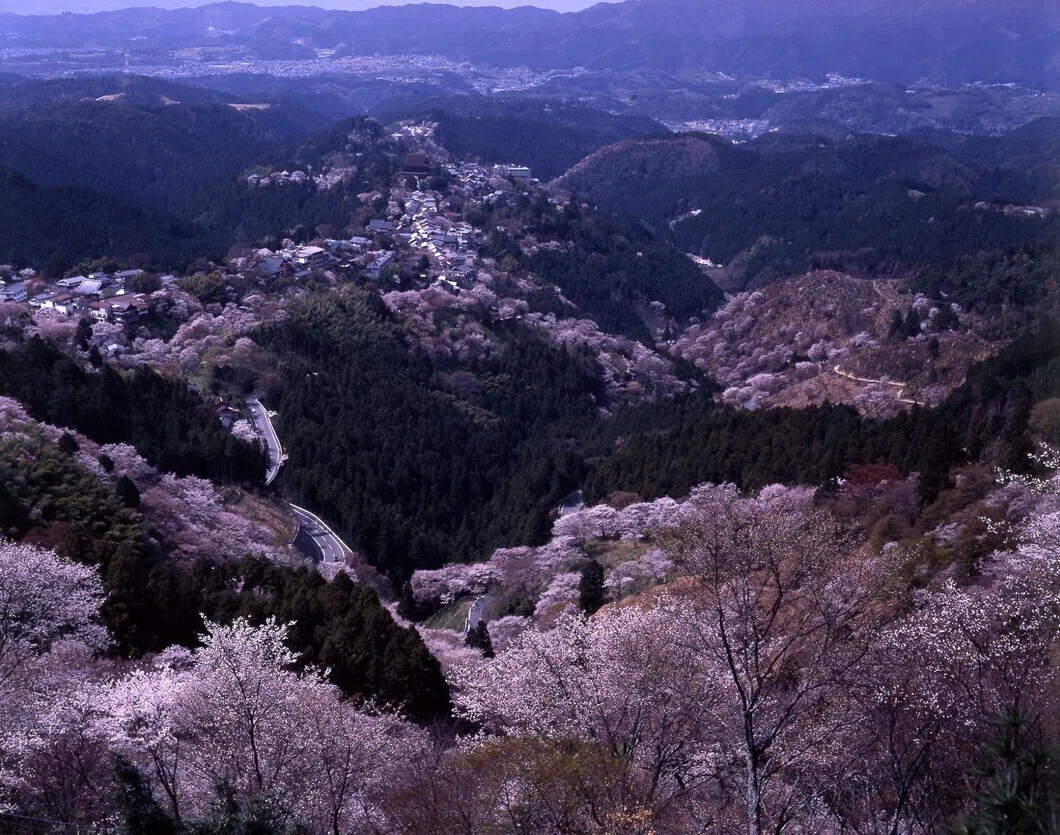 画像2