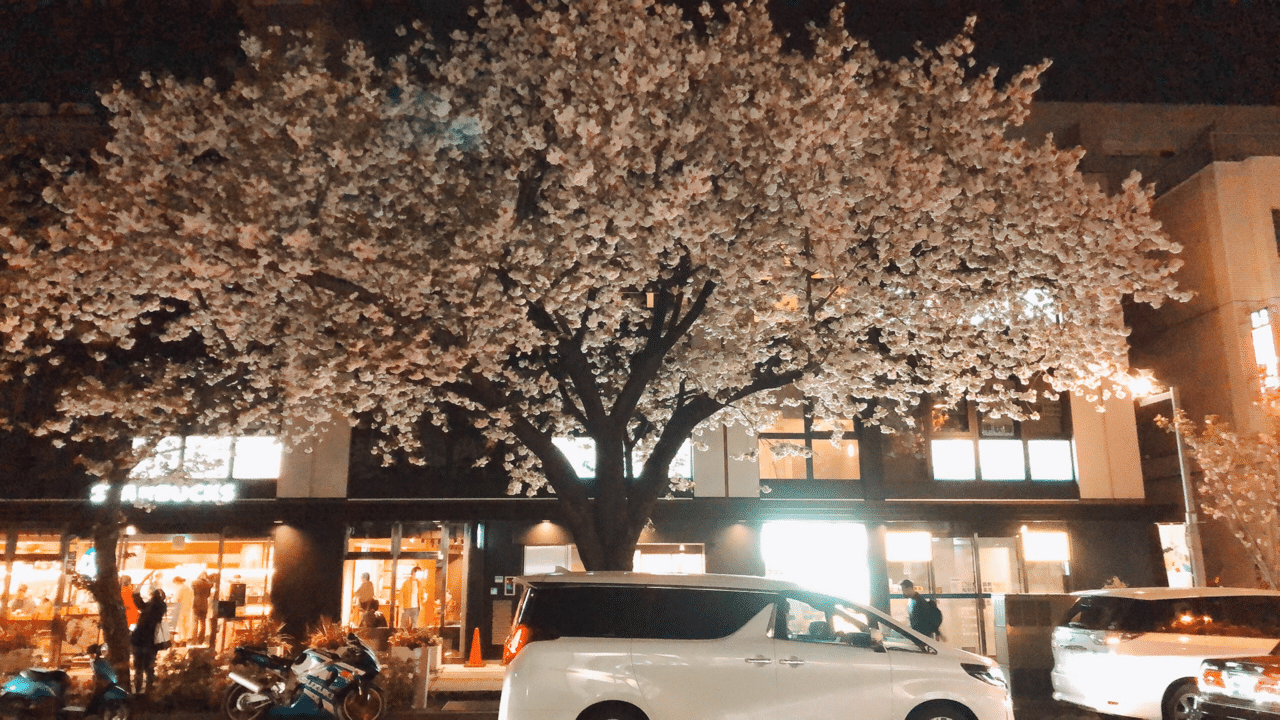 夜散歩はいかがでしょうか 東京の桜新町という駅ですが 駅前は桜並木 桜満開 コロナで歩かなくなった人は夜散歩が オススメ 仕事をテクニックで効率化するのは大事 そして 休みの日に 山口篤志 デスクトップ整理コンサルタント X マーケター Note 夜散歩はいかがでしょうか 東京の桜新町という駅ですが 駅前は桜並木 桜満開 コロナで歩かなくなった人は夜散歩が オススメ 仕事をテクニックで効率化するのは大事 そして 休みの日に 山口篤志 デスクトップ整理コンサルタント X マーケター Note