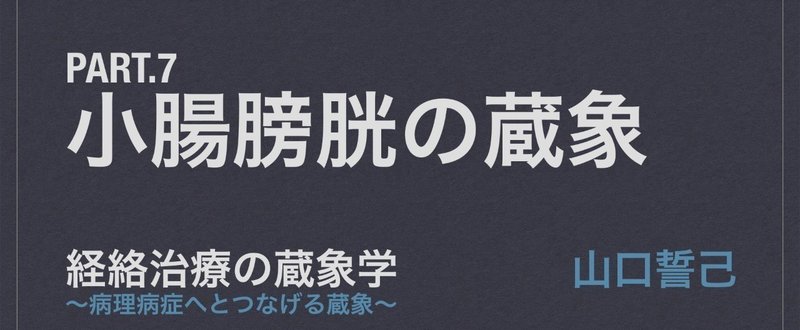 【経絡治療の蔵象学】Pt.7 小腸膀胱の蔵象 2/4