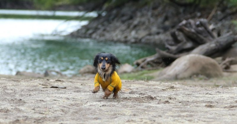 高野 縁 たかのゆかり Note