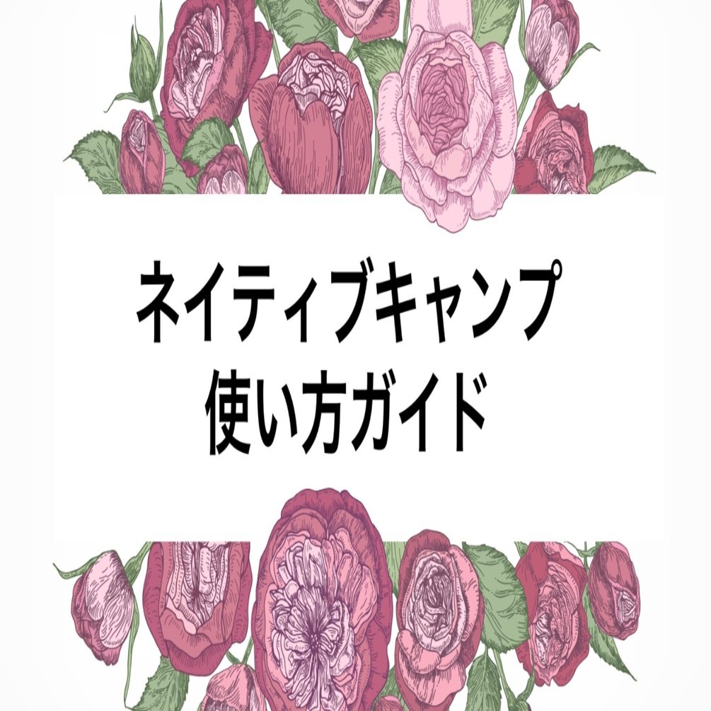 ネイティブキャンプの英会話レッスンの流れ｜Date Maki アメリカ子育てと英語