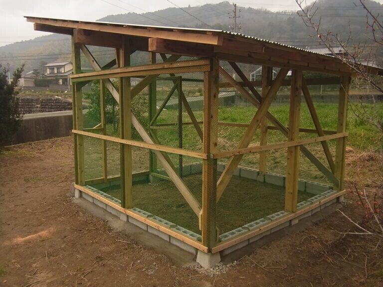 自然養鶏家さんに聞いた鶏小屋の作り方や育てる時の注意点まとめ ちゃこー江頭 桜子 Note