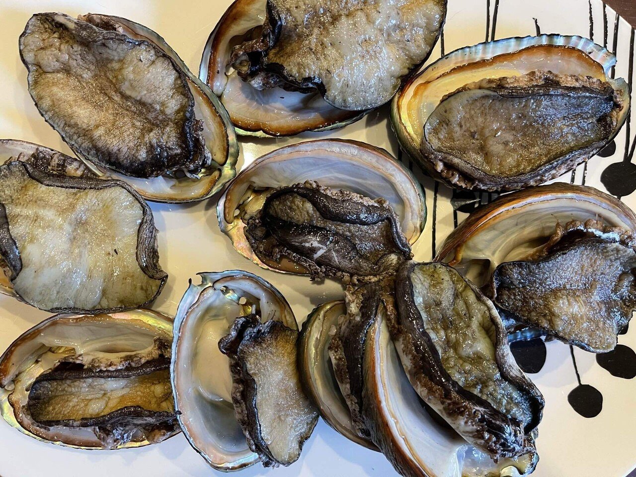 アワビの挑戦 Senri Oe 大江千里 Note