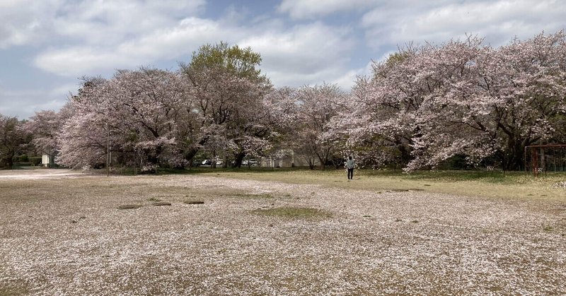 309 日記ブログとおすすめbgmアニメ あいざわともこ Note