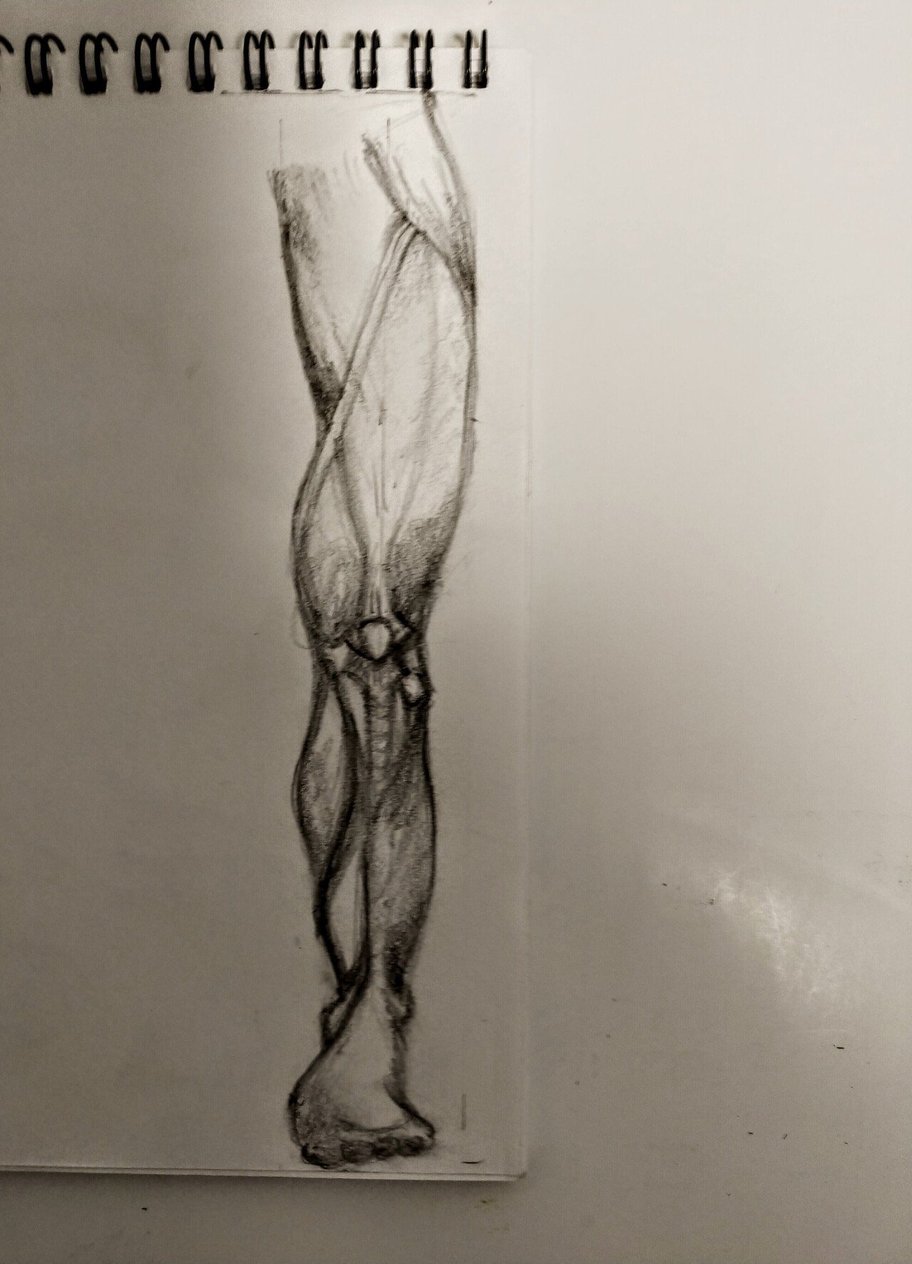 デッサン8日目 ぴっつ Note